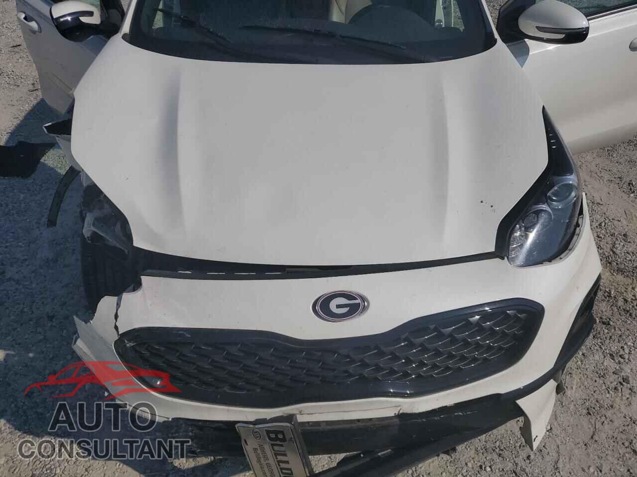 KIA SPORTAGE 2022 - KNDP63AC9N7963243