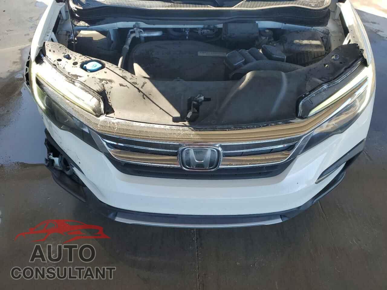 HONDA PILOT 2019 - 5FNYF5H53KB036669