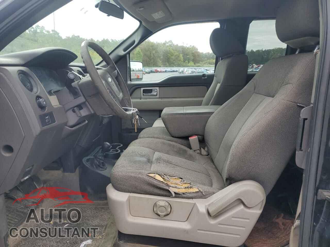 FORD F-150 2010 - 1FTEX1EW1AFD70747