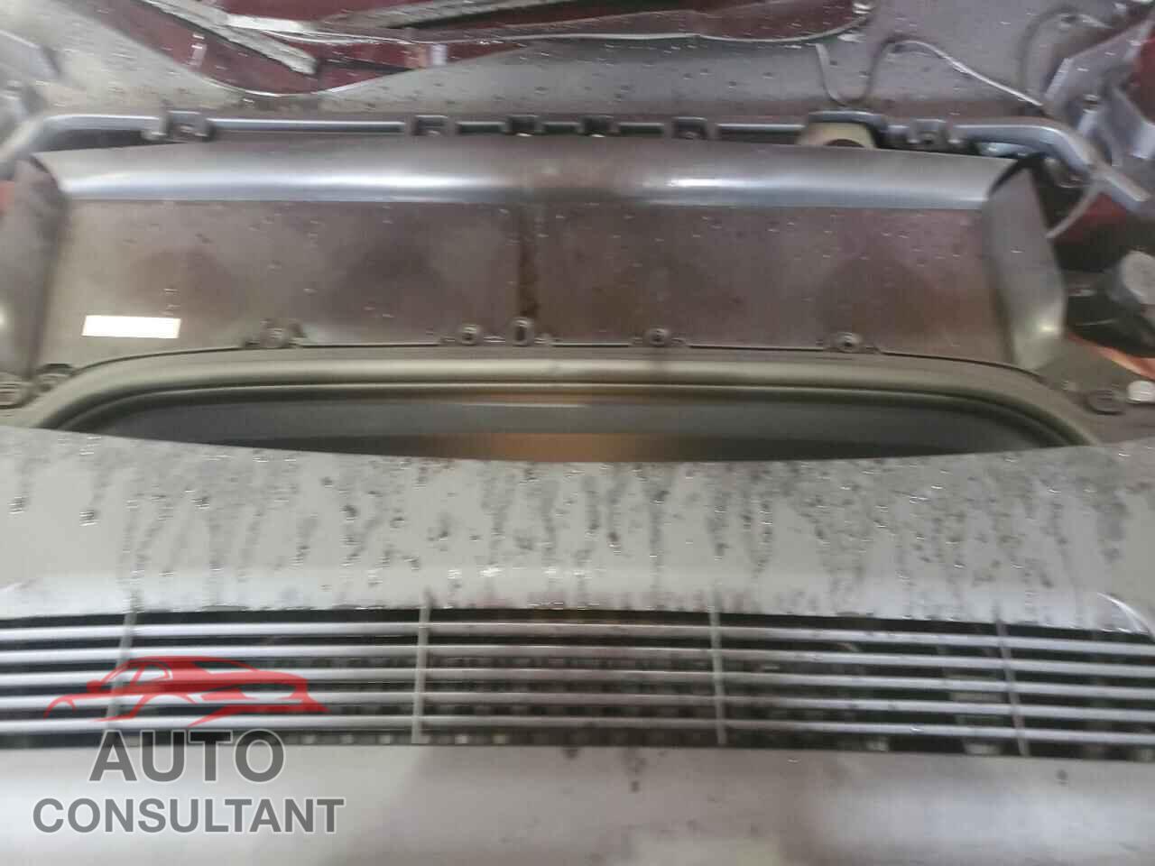 TESLA MODEL Y 2025 - 7SAYGDED5SA377316