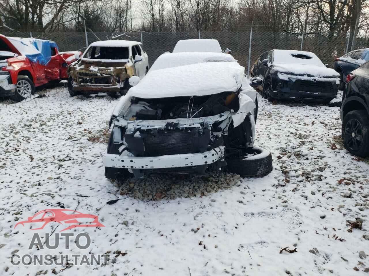 DODGE CHARGER 2019 - 2C3CDXKT9KH538670