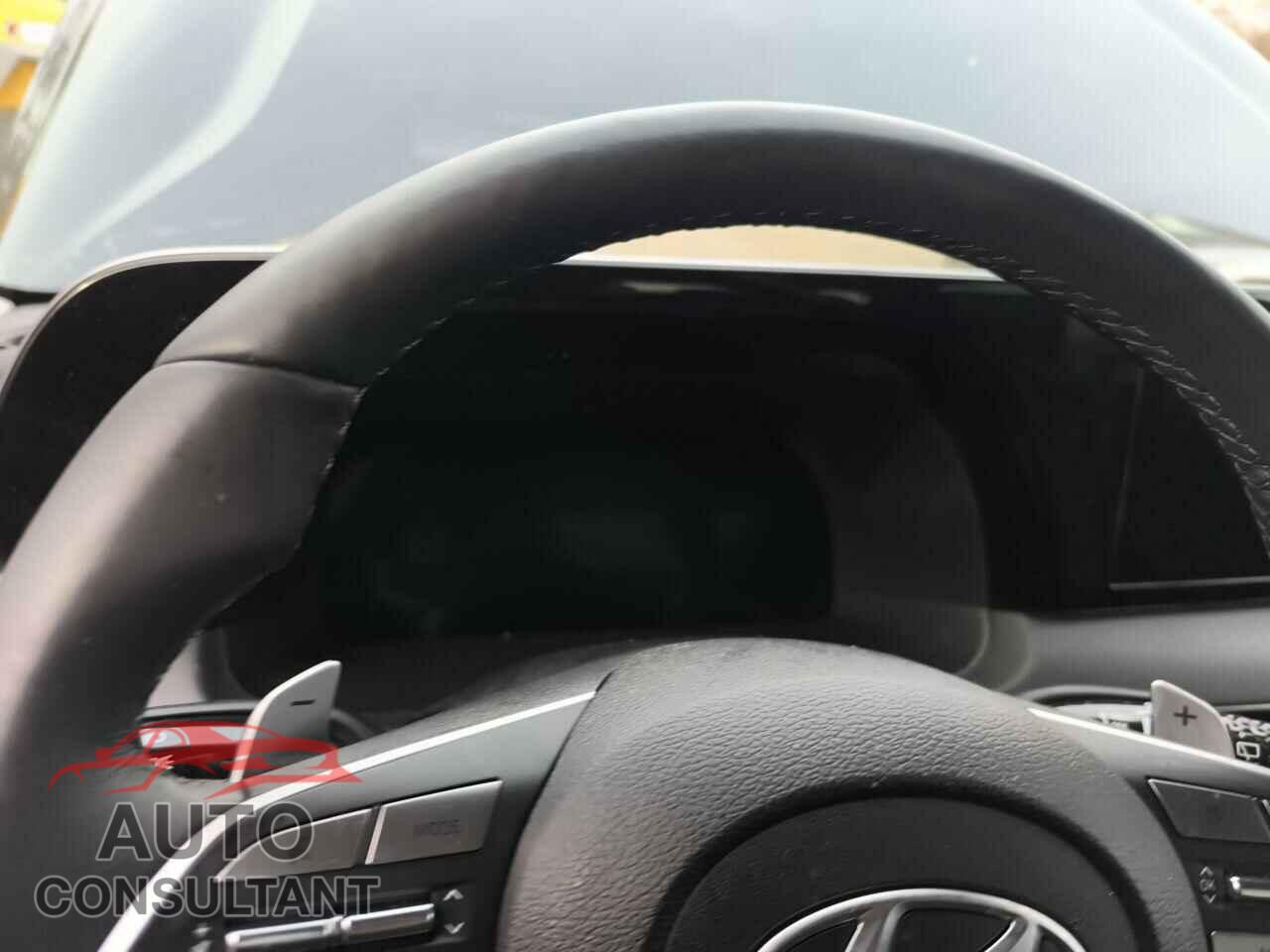 HYUNDAI PALISADE 2024 - KM8R5DGEXRU789714