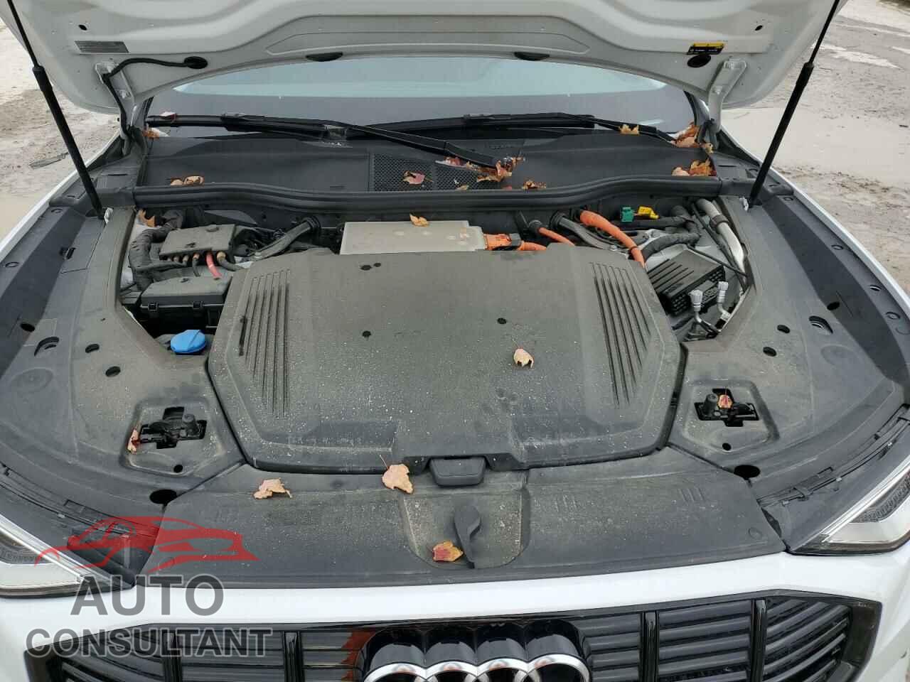 AUDI E-TRON 2021 - WA1LAAGE4MB003487