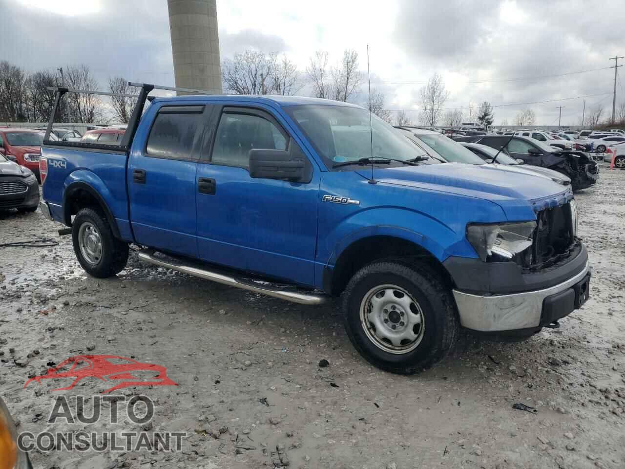 FORD F-150 2010 - 1FTEW1E80AFB74092