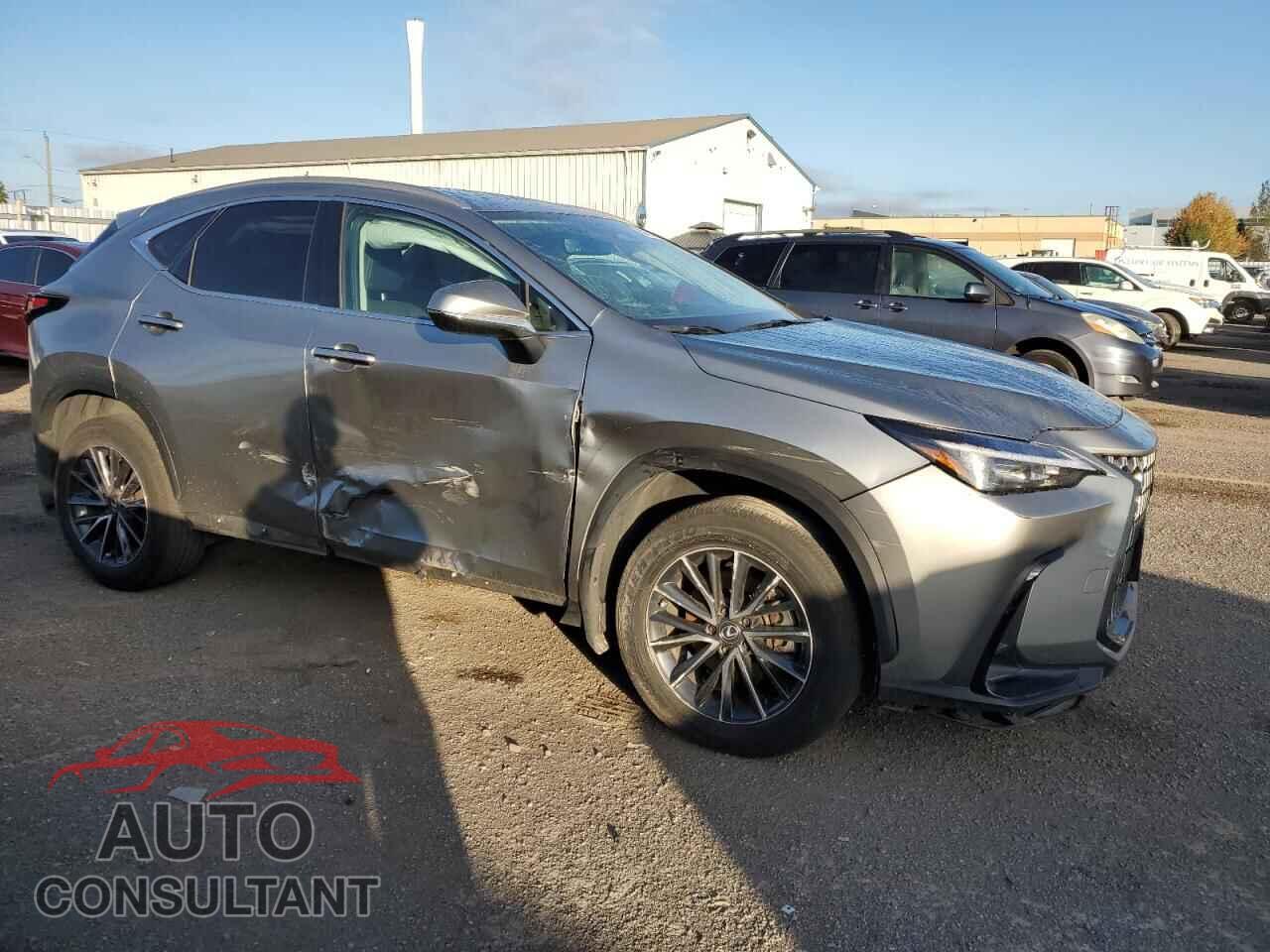 LEXUS NX 250 BAS 2025 - 2T2ADCEZ5SC006706