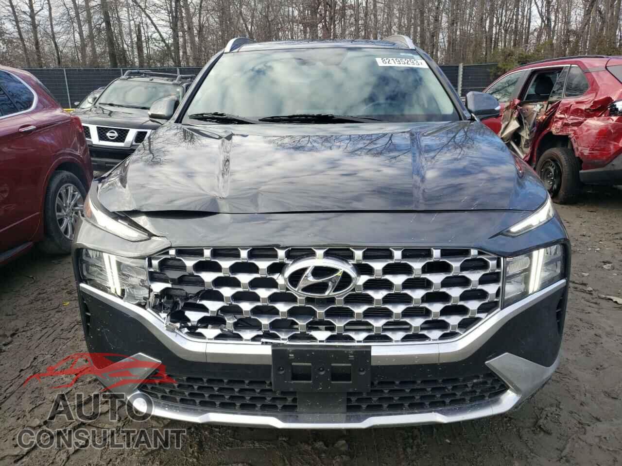 HYUNDAI SANTA FE 2023 - 5NMS3DAJ5PH552666