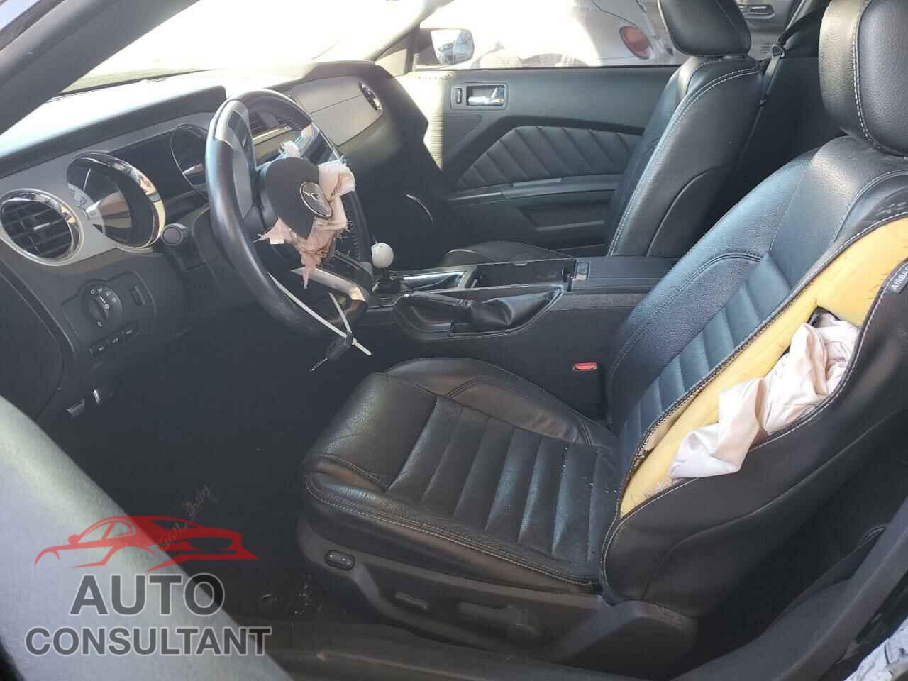 FORD MUSTANG 2010 - 1ZVBP8CH3A5100969