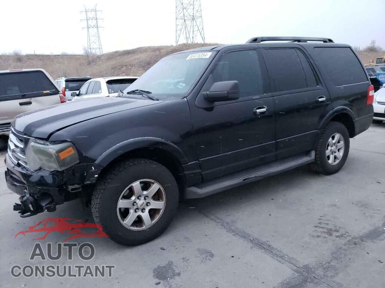 FORD EXPEDITION 2009 - 1FMFU16529EA86690