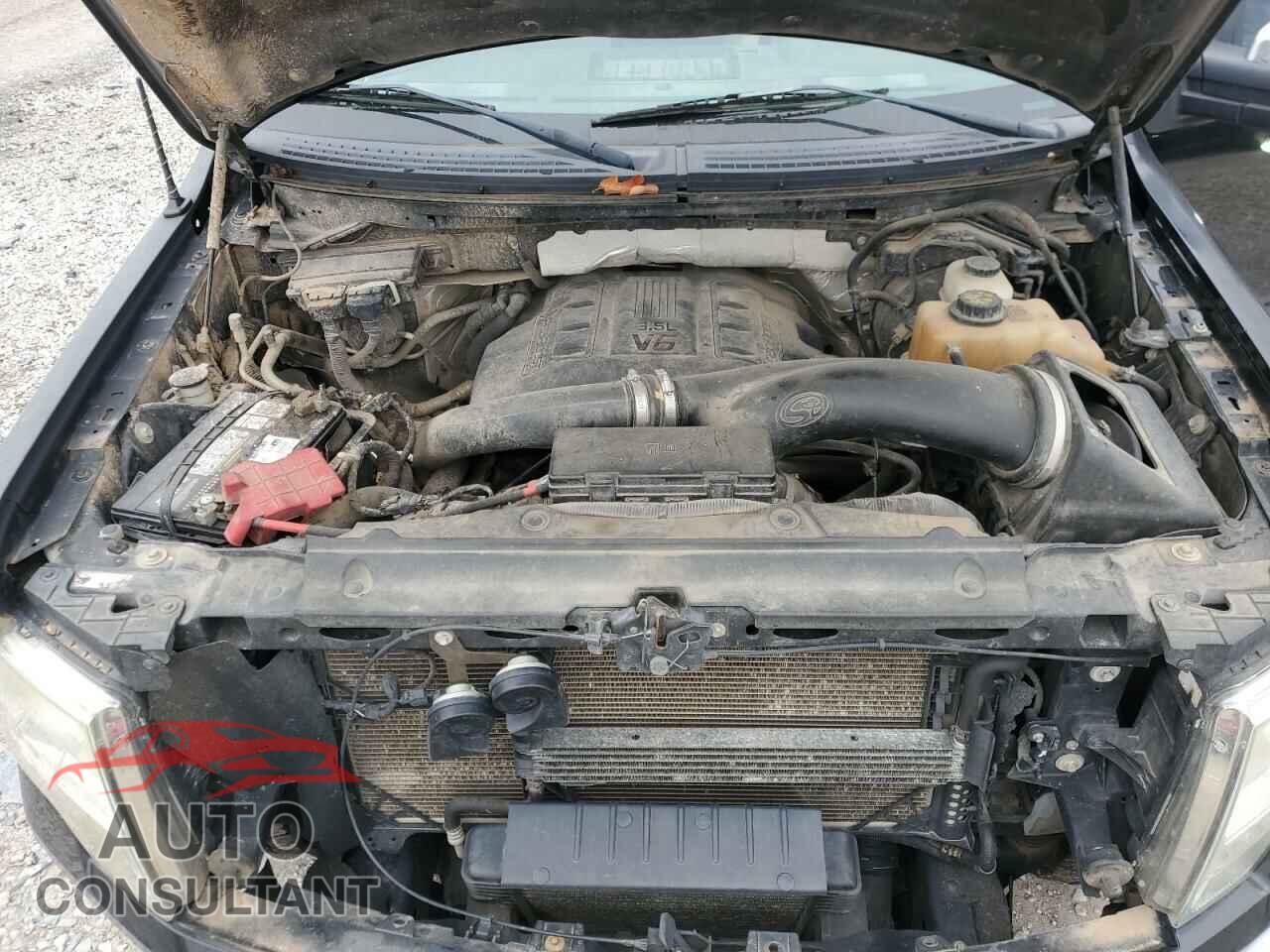 FORD F-150 2012 - 1FTFW1ET1CFB93827