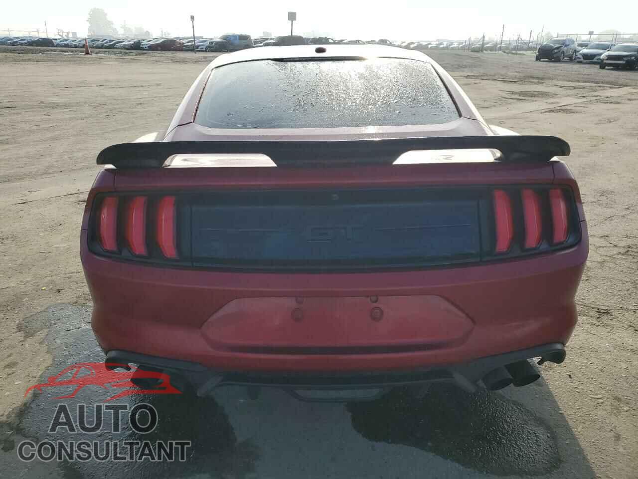 FORD MUSTANG 2019 - 1FA6P8CF4K5193396
