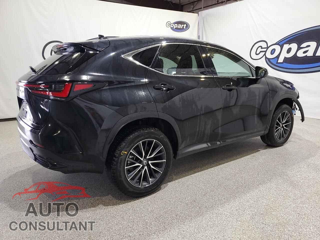 LEXUS NX 2024 - 2T2AGCEZ4RC057129
