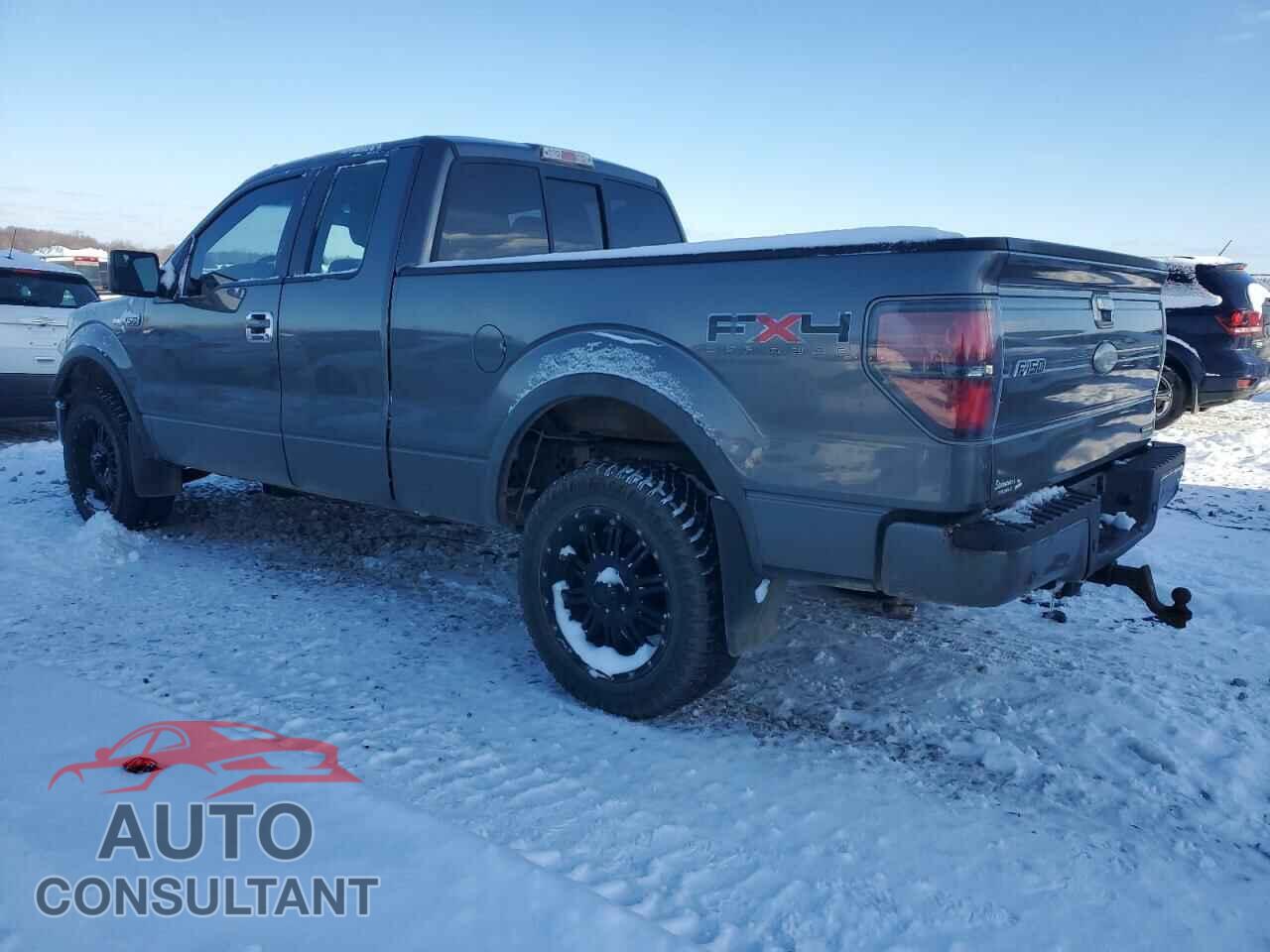 FORD F-150 2011 - 1FTFX1EF8BFA84495