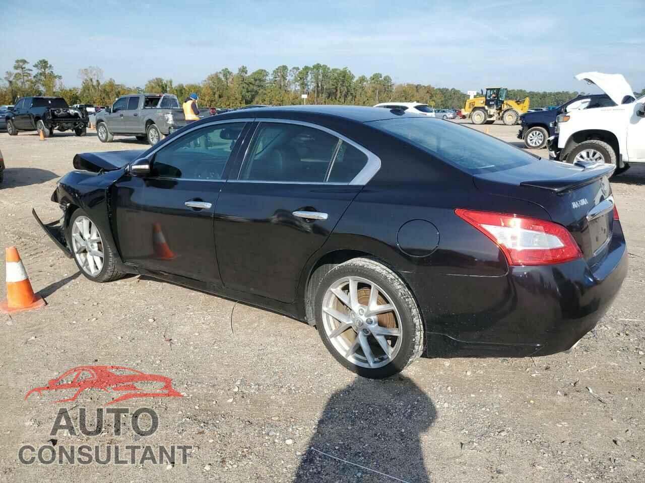 NISSAN MAXIMA 2009 - 1N4AA51EX9C852883