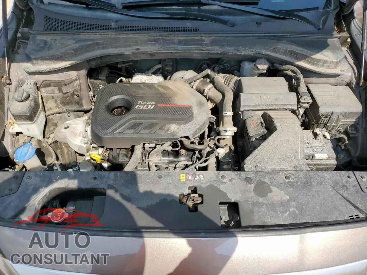 HYUNDAI SANTA FE 2019 - 5NMS5CAA2KH070444