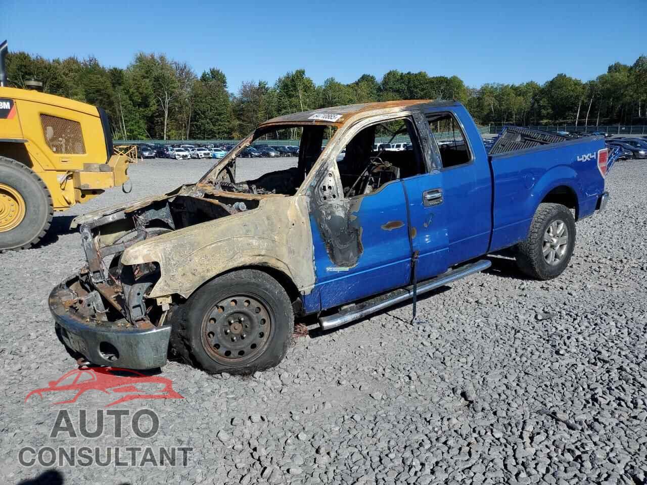 FORD F-150 2014 - 1FTFX1ET2EFA74393