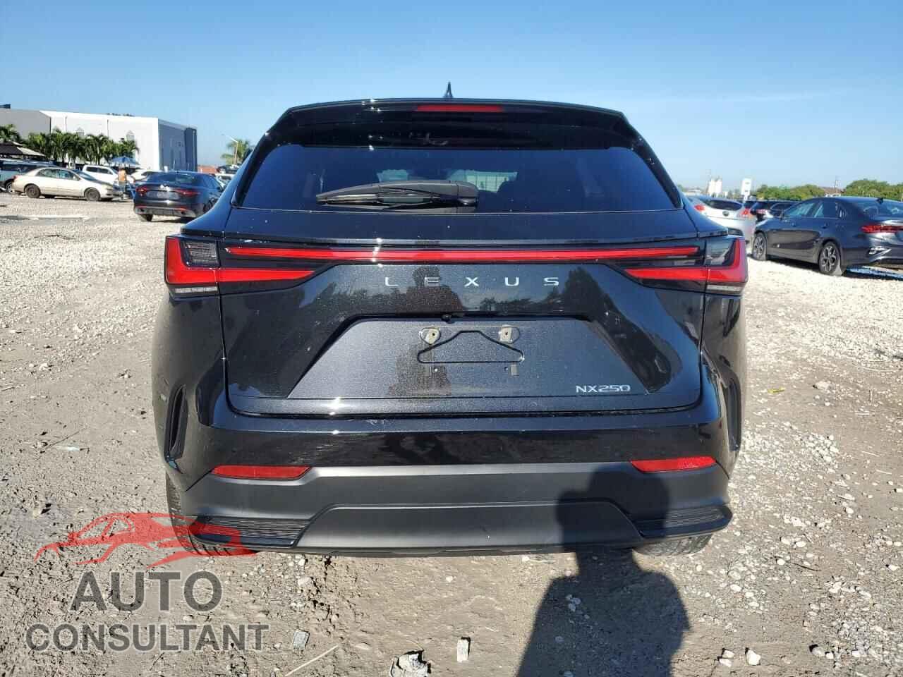 LEXUS NX 250 BAS 2024 - 2T2ADCAZ9RC013156
