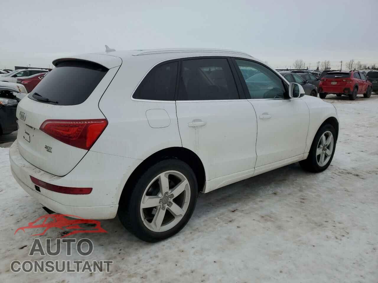 AUDI Q5 2011 - WA1LFAFP6BA052147