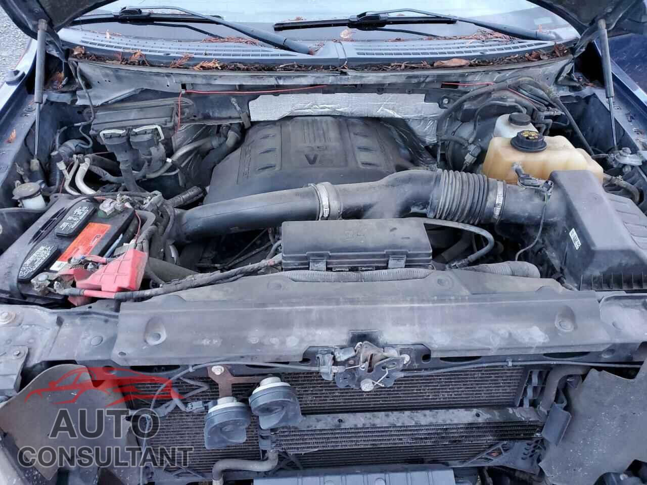 FORD F-150 2012 - 1FTFW1ET1CFA50408
