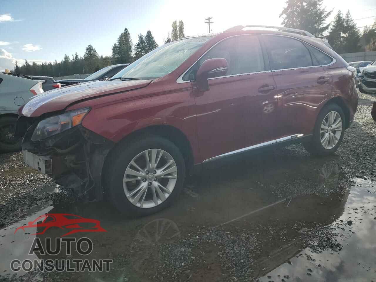 LEXUS RX450 2010 - JTJBC1BA8A2009981