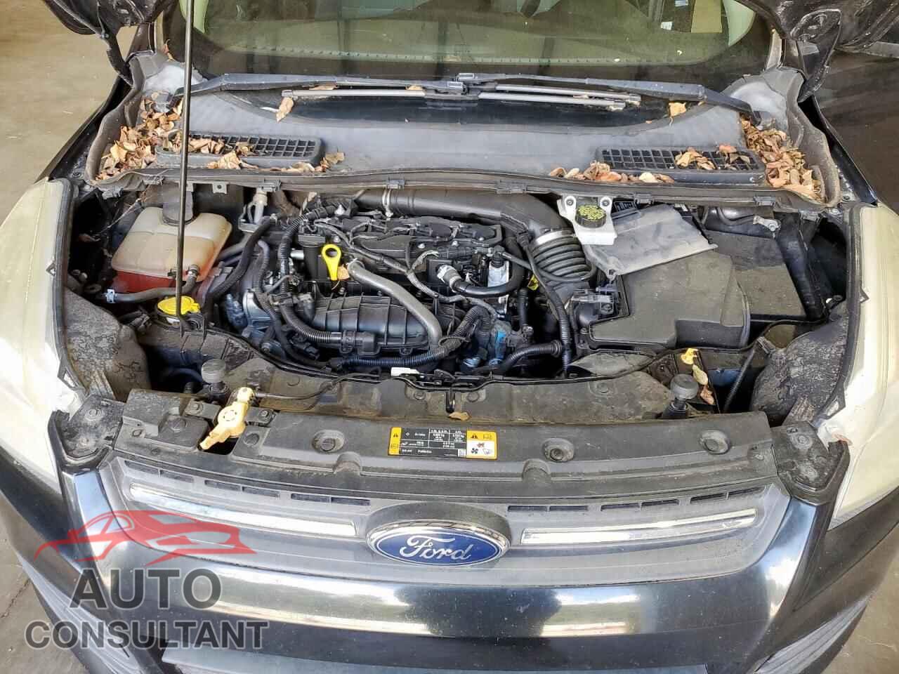 FORD ESCAPE 2013 - 1FMCU0GX7DUA47802