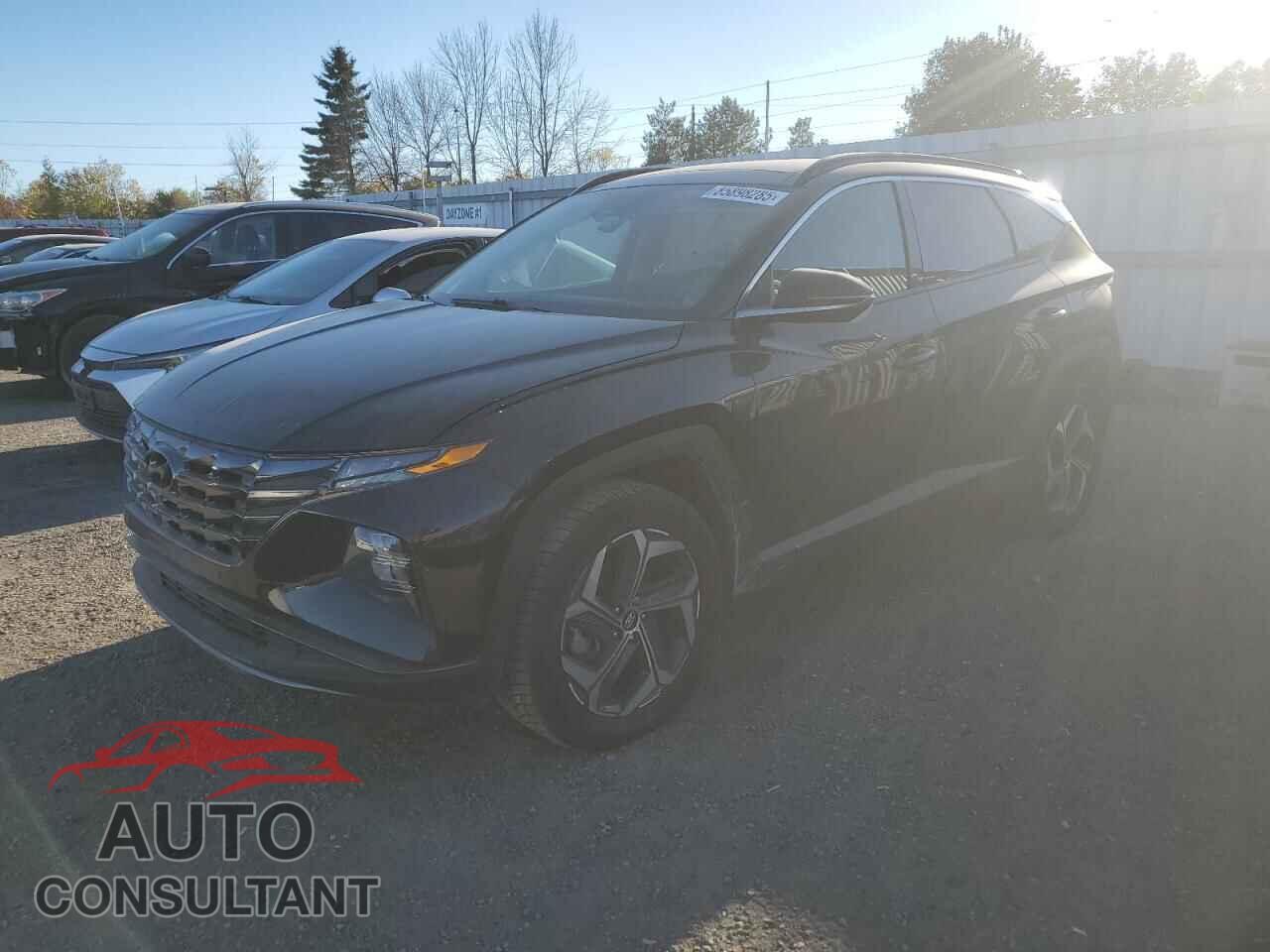 HYUNDAI TUCSON 2024 - KM8JCCD13RU208407