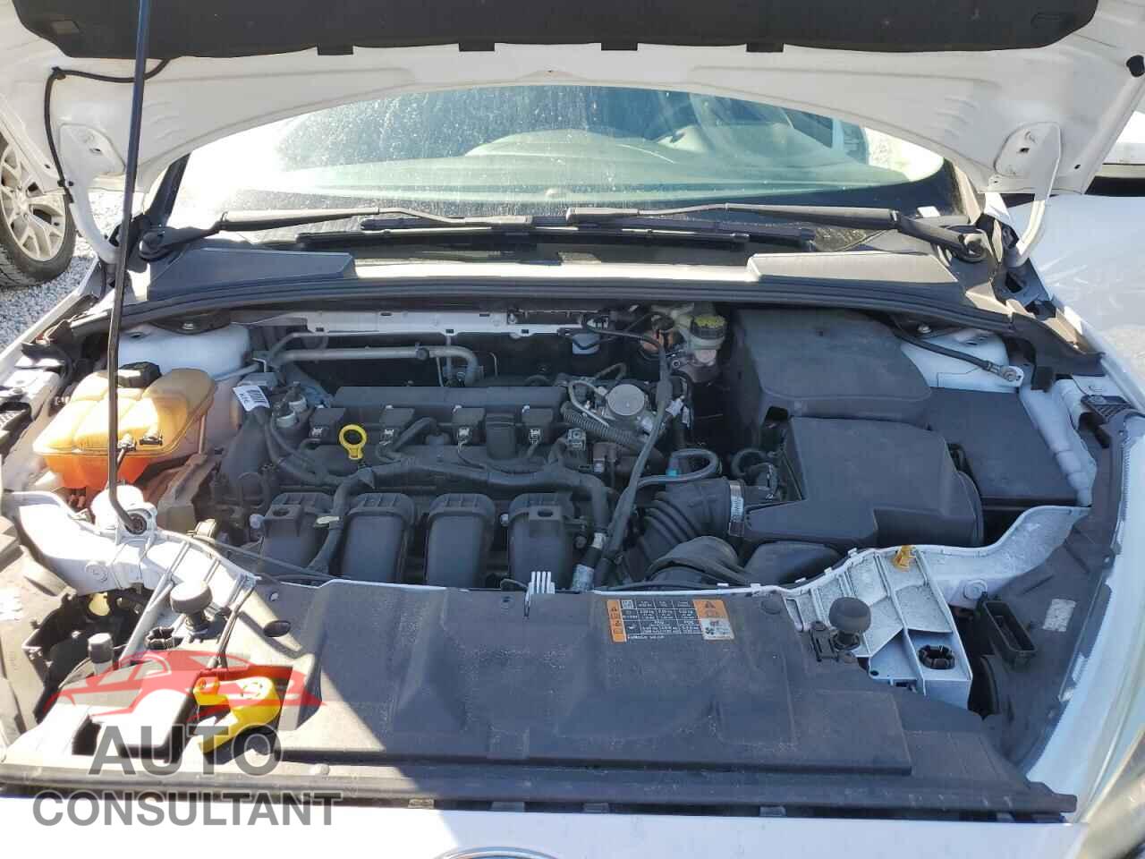 FORD FOCUS 2016 - 1FADP3K29GL391046
