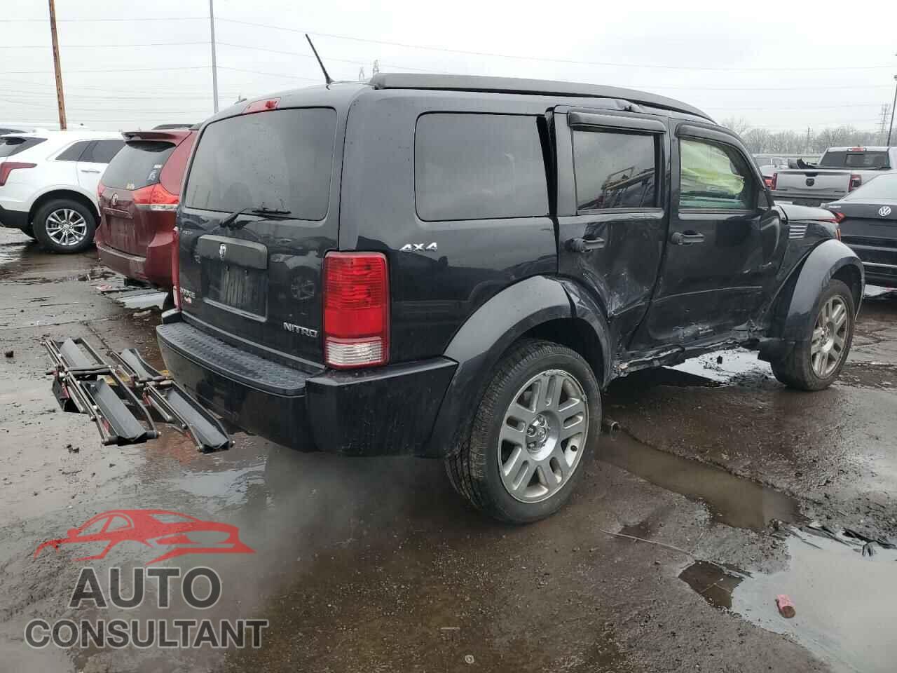DODGE NITRO 2011 - 1D4PU4GK8BW591005