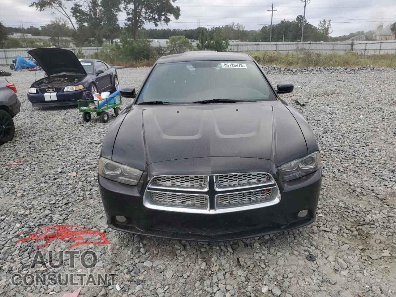 DODGE CHARGER 2013 - 2C3CDXCT3DH531859