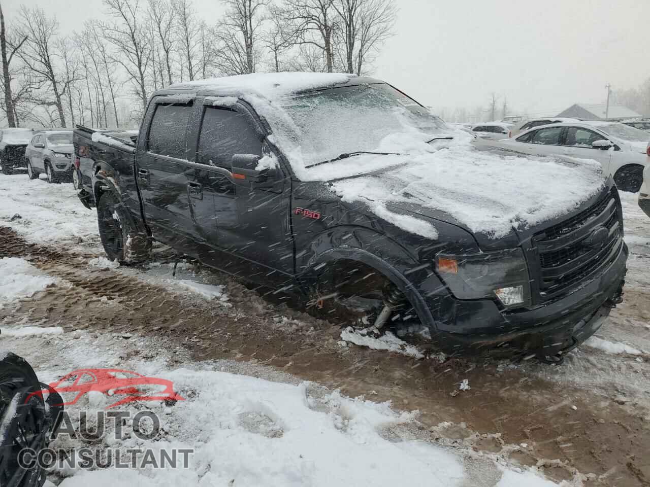 FORD F-150 2013 - 1FTFW1EF9DFB47996