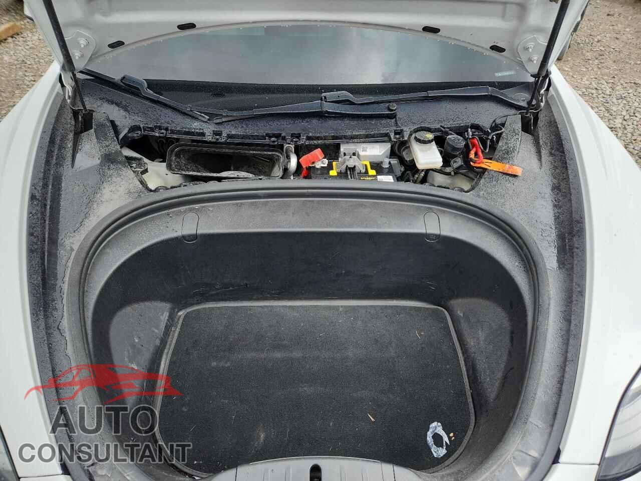 TESLA MODEL 3 2019 - 5YJ3E1EB9KF393726