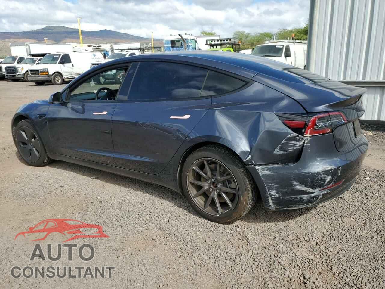 TESLA MODEL 3 2023 - 5YJ3E1EA1PF687961