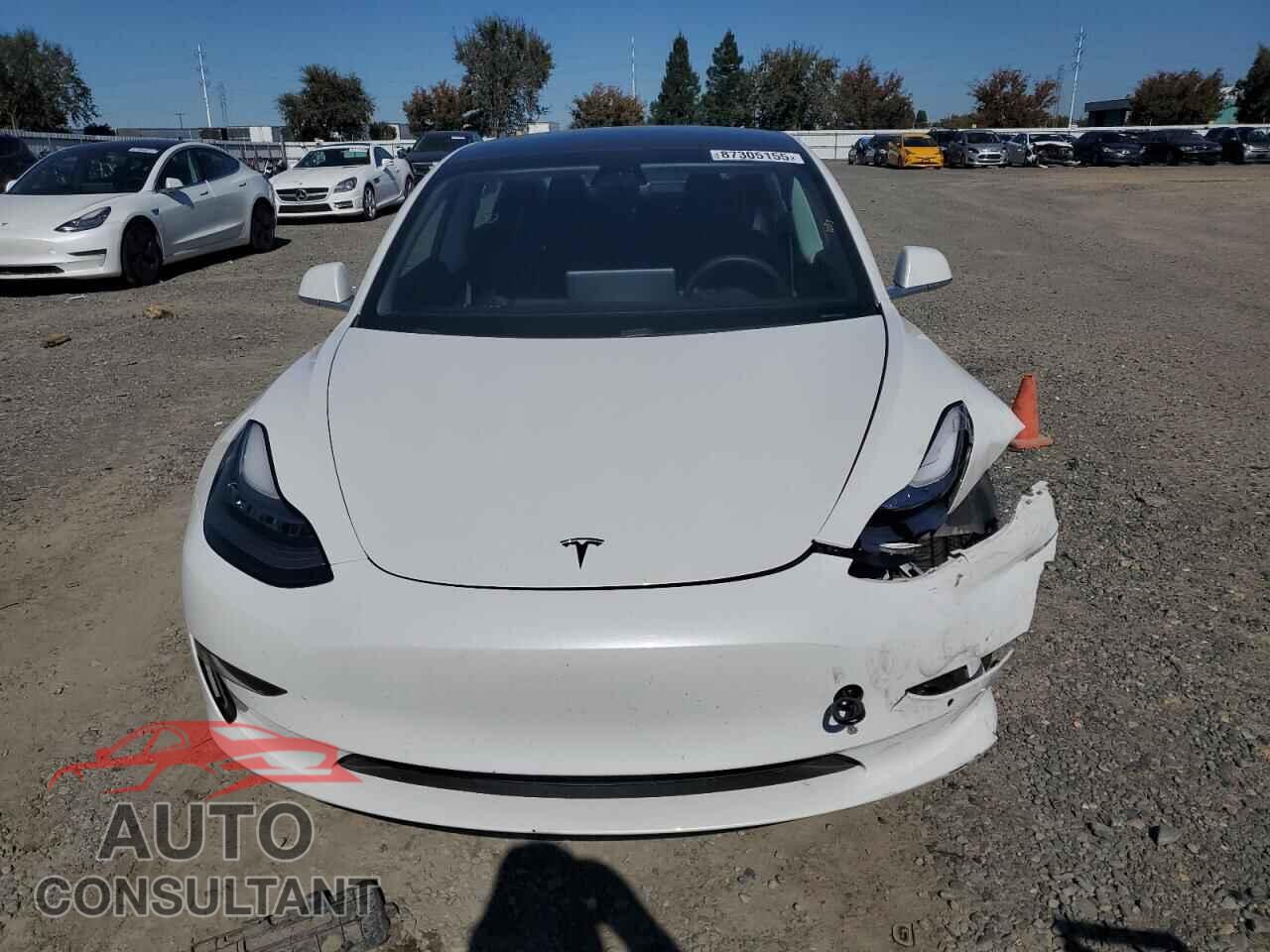 TESLA MODEL 3 2020 - 5YJ3E1EAXLF806603