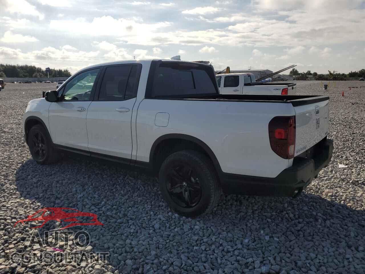 HONDA RIDGELINE 2021 - 5FPYK3F81MB018341