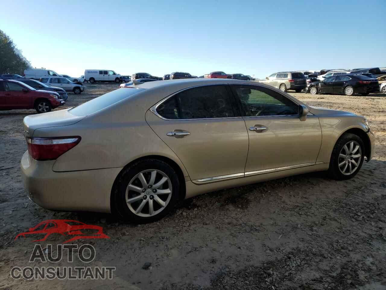 LEXUS LS460 2009 - JTHBL46F695089980