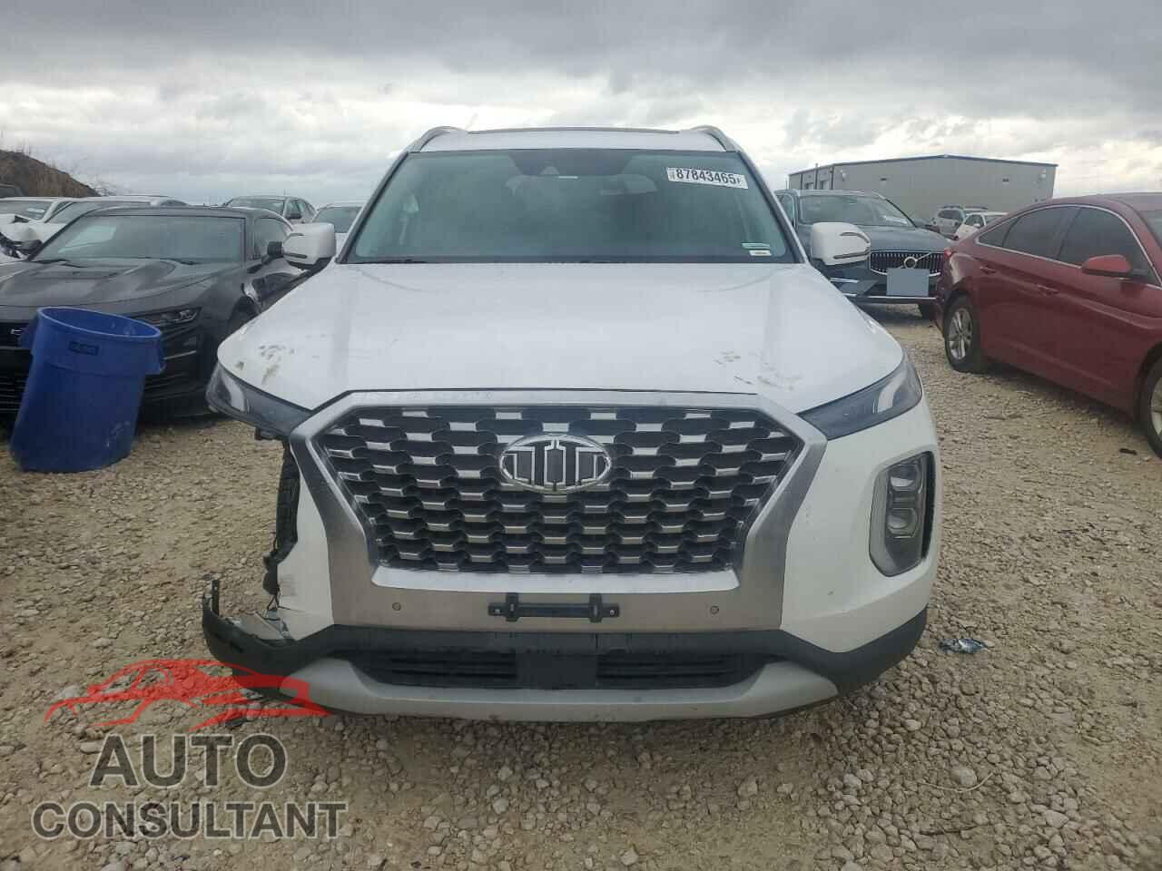 HYUNDAI PALISADE 2020 - KM8R4DHE7LU062197