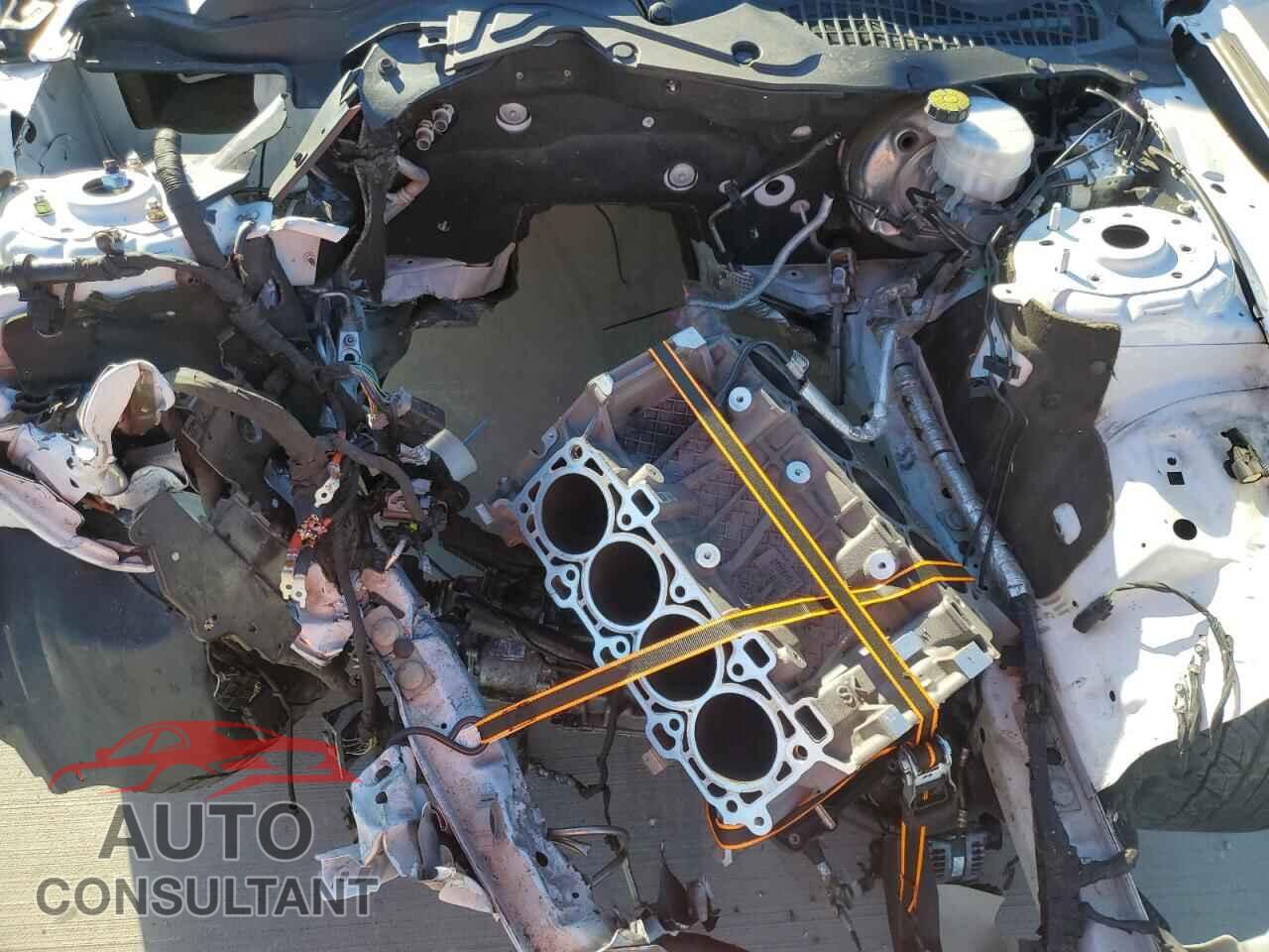 FORD MUSTANG 2020 - 1FA6P8CF8L5108206