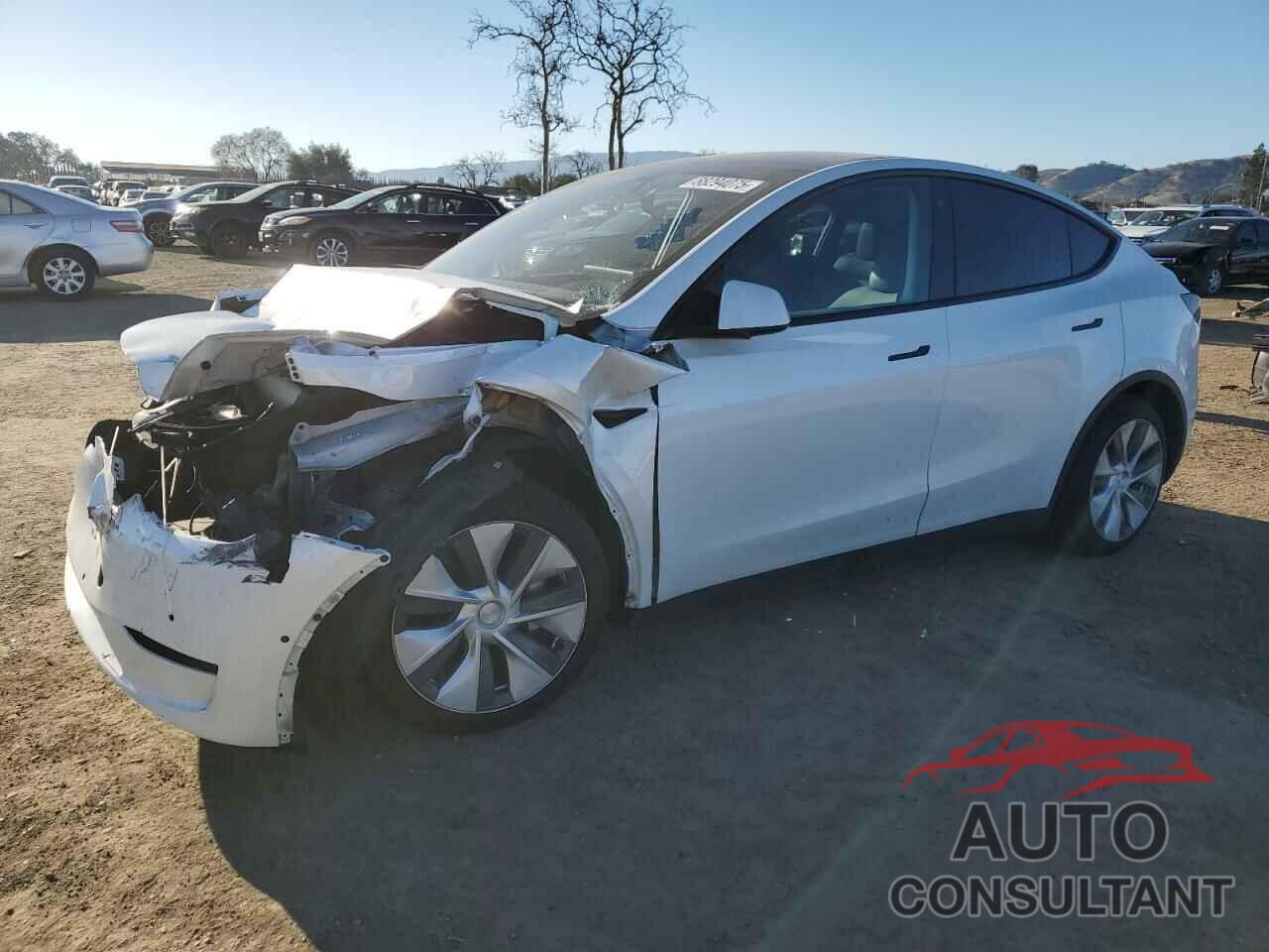 TESLA MODEL Y 2021 - 5YJYGDEE6MF069583