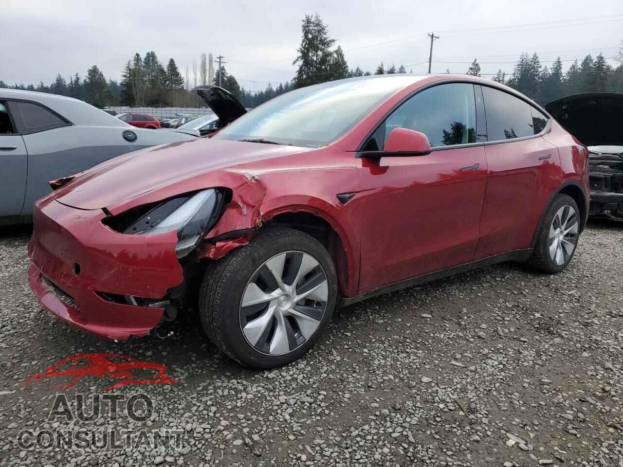 TESLA MODEL Y 2024 - 7SAYGDEE3RF014258