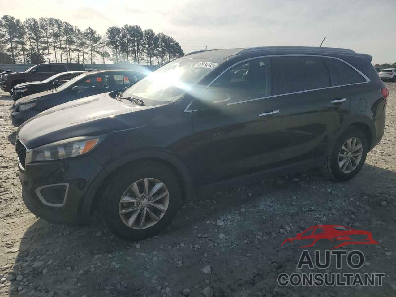 KIA SORENTO 2016 - 5XYPG4A56GG111216