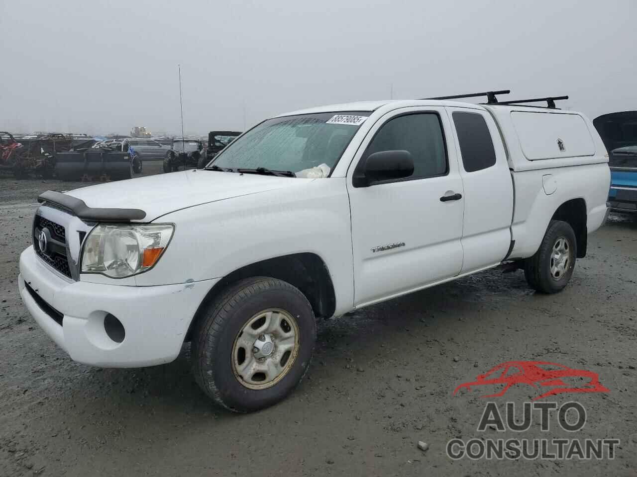 TOYOTA TACOMA 2011 - 5TFTX4CN5BX001985