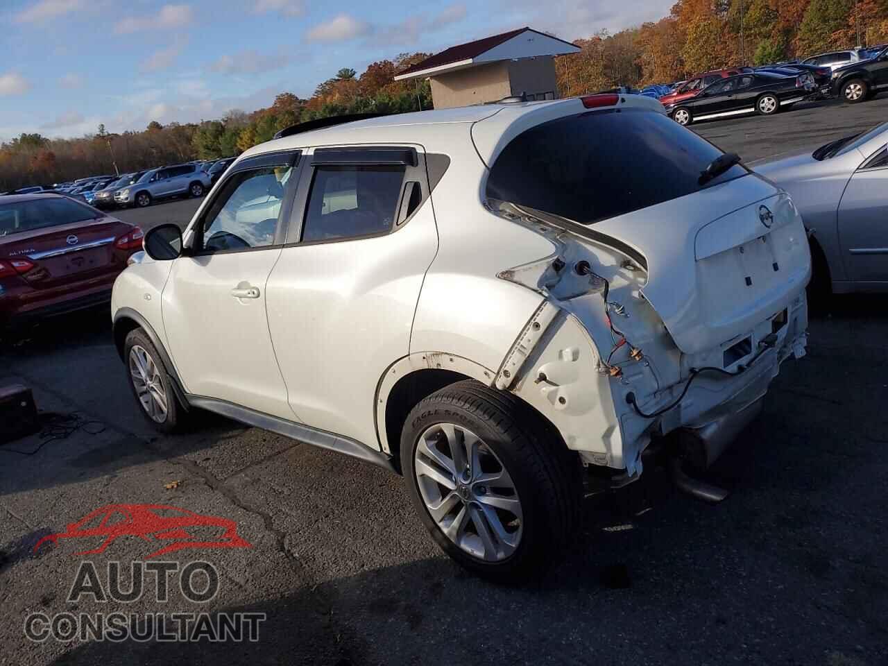 NISSAN JUKE 2014 - JN8AF5MV0ET484980