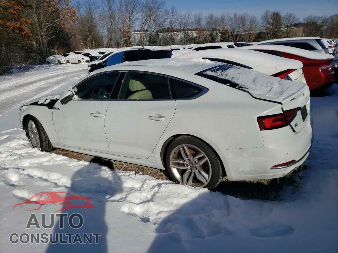 AUDI A5 2019 - WAUBNCF55KA007647