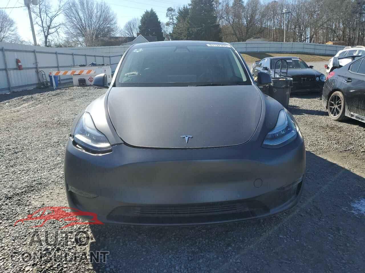 TESLA MODEL Y 2022 - 7SAYGAEE5NF430627