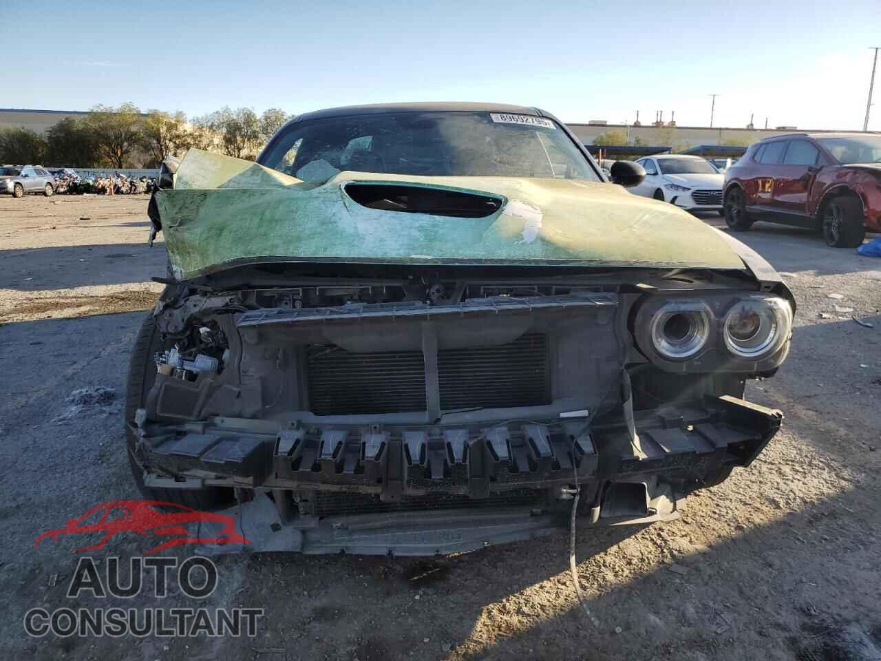 DODGE CHALLENGER 2019 - 2C3CDZBT9KH659615