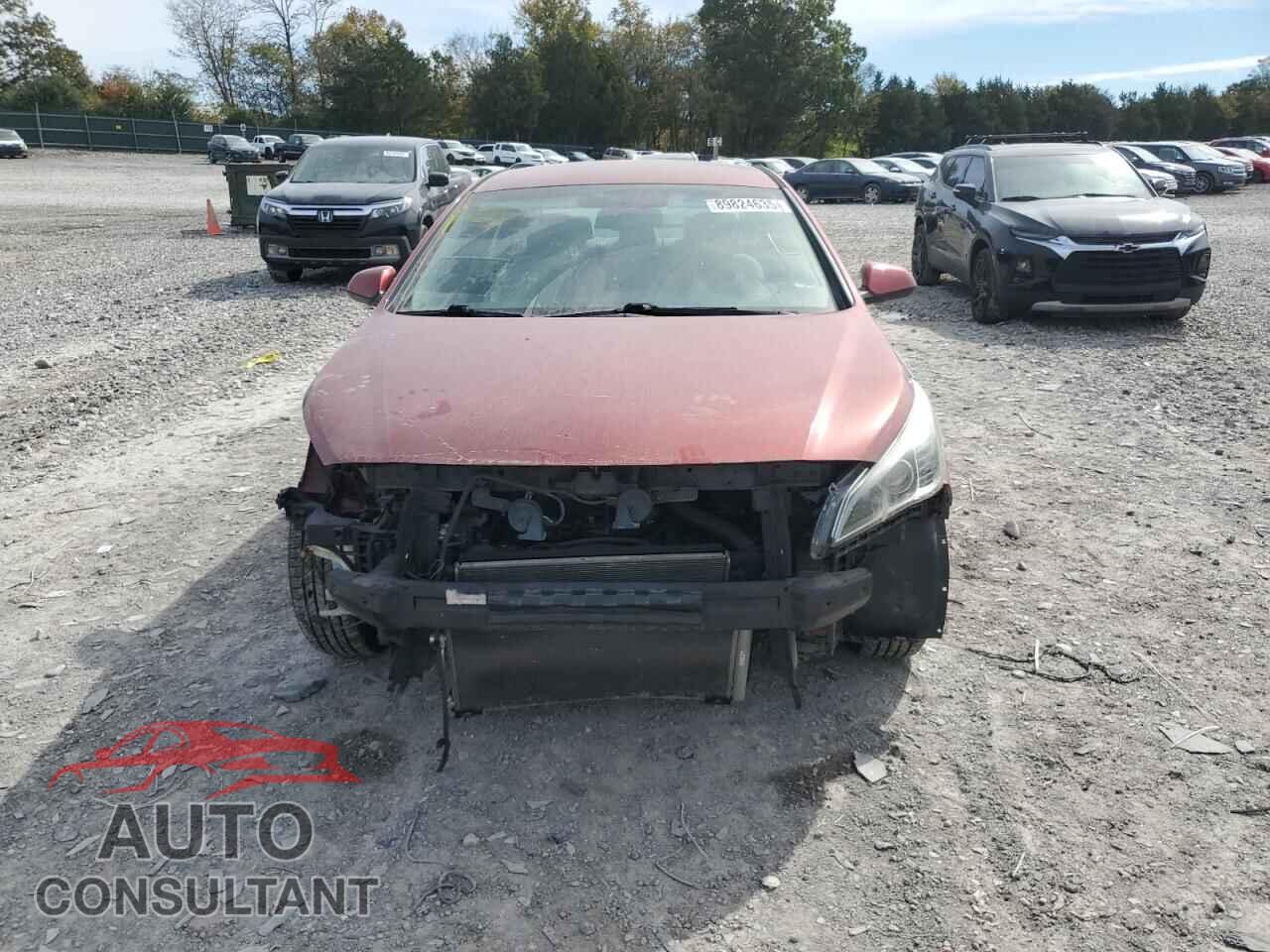 HYUNDAI SONATA 2016 - 5NPE24AF2GH290989