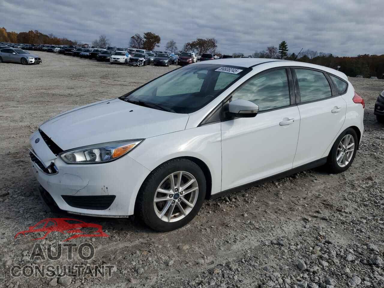 FORD FOCUS 2016 - 1FADP3K27GL319603