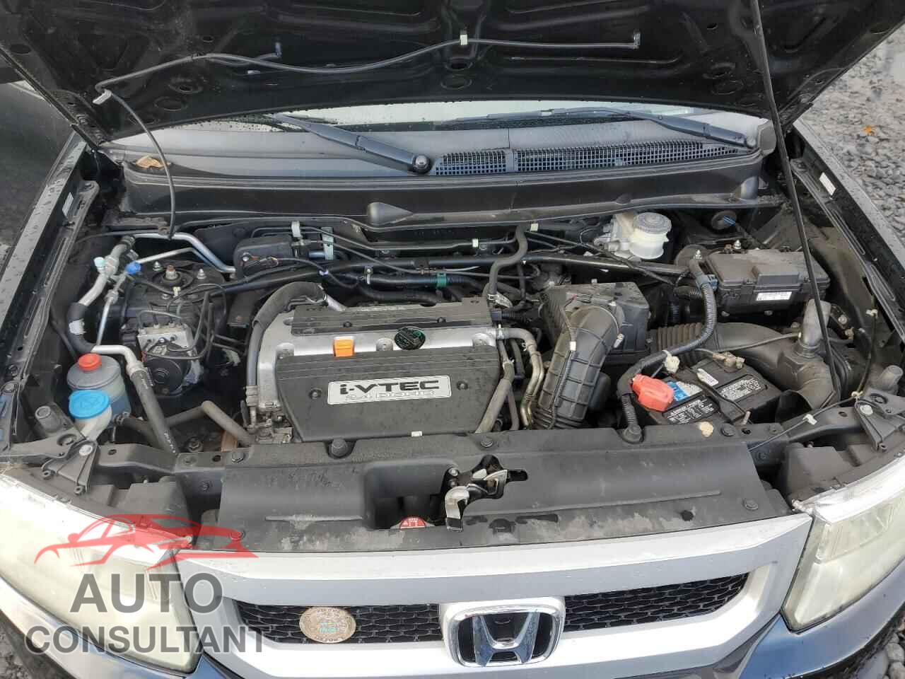 HONDA ELEMENT 2009 - 5J6YH28749L000453