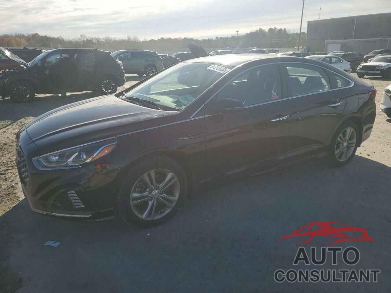 HYUNDAI SONATA 2019 - 5NPE34AF4KH797088