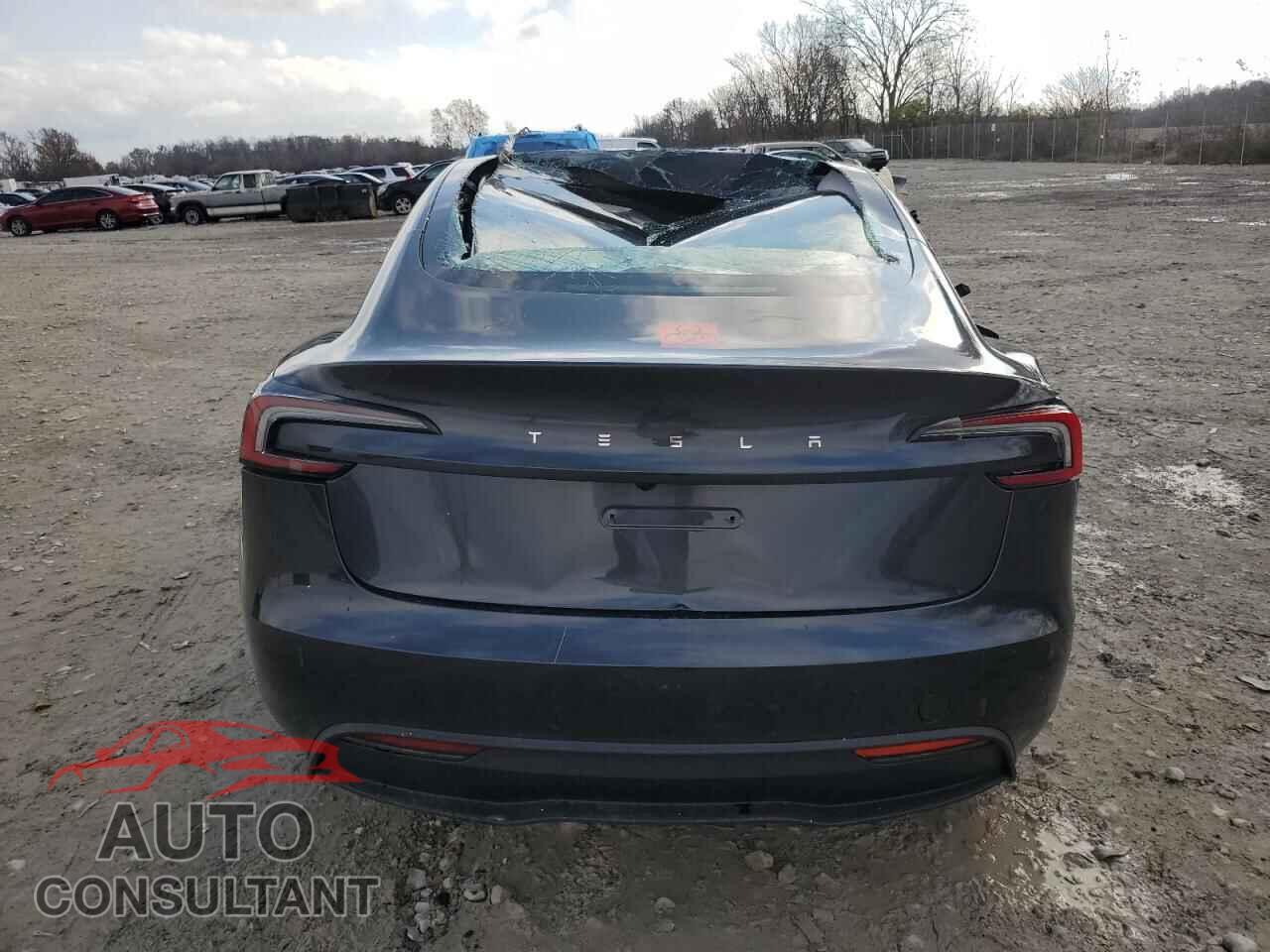 TESLA MODEL 3 2024 - 5YJ3E1EA7RF861860