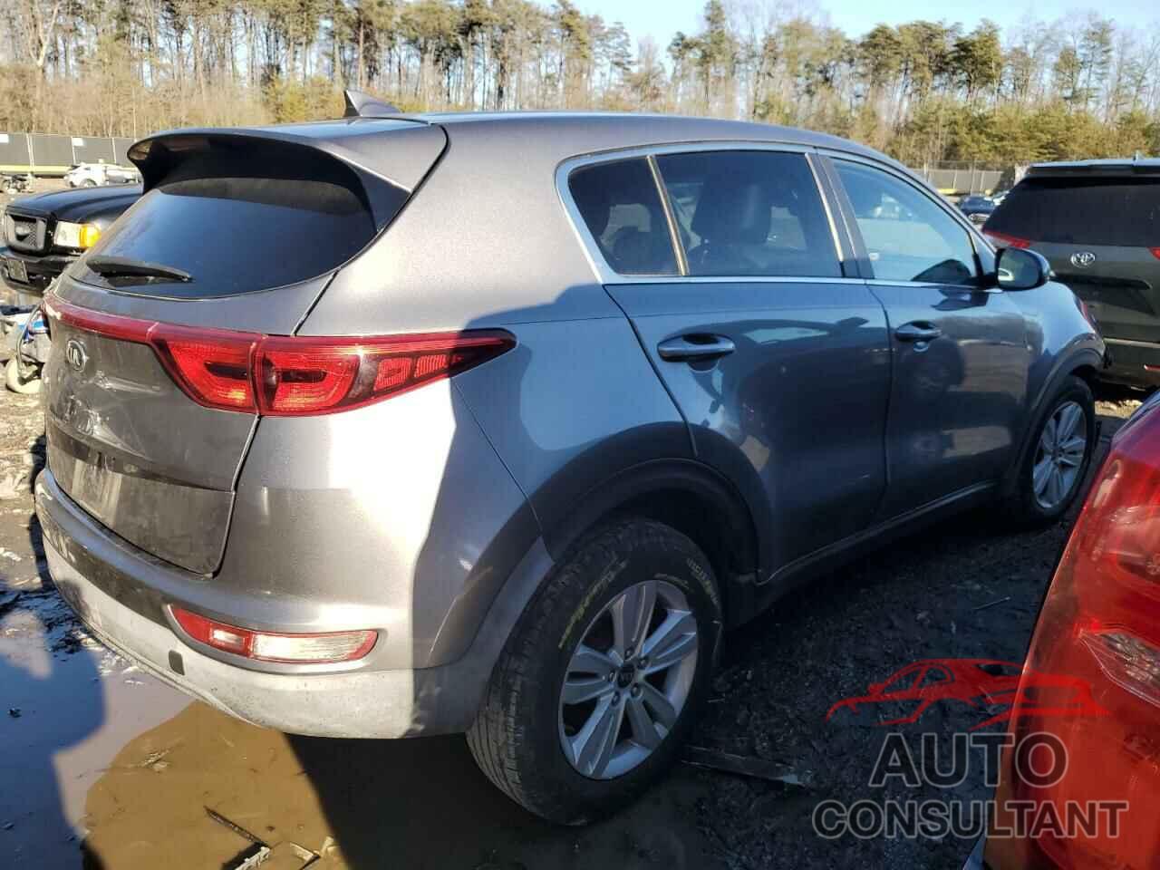 KIA SPORTAGE 2019 - KNDPM3AC5K7515275